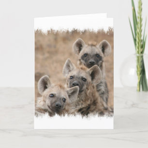 Carte de voeux Hyenas