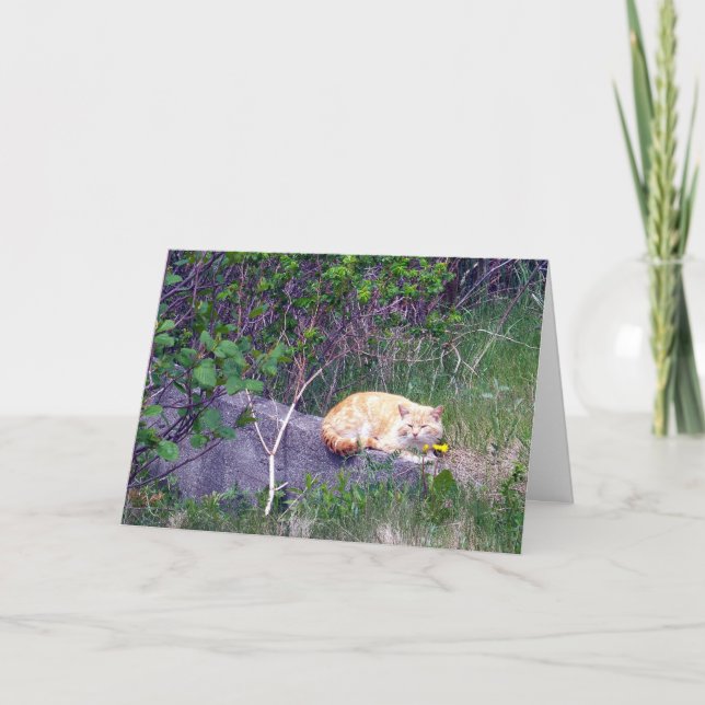 Carte de voeux inconditionnelle (Devant)