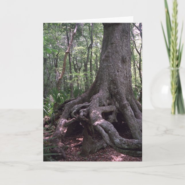 Carte de voeux indienne Artifact Custom Louisiana (Devant)