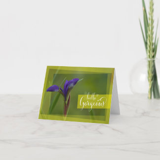Carte de vœux Iris de Sibérie "Bonjour Magnifique"