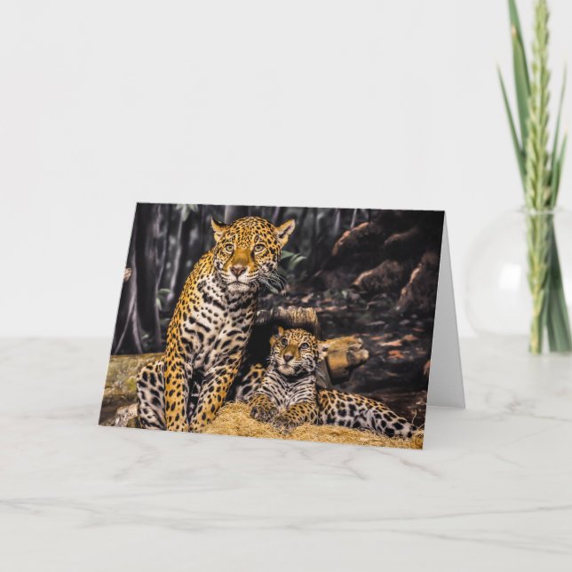 Carte de voeux Jaguar Mom & Cub (Devant)