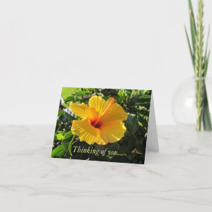 Carte de vœux Jaune Hibiscus Tropical Pensée pour 