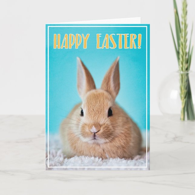 Carte de vœux Joyeuses Pâques avec un lapin mignon (Devant)