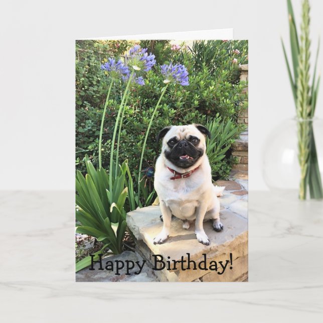 Carte de voeux : Joyeux anniversaire ! (Devant)