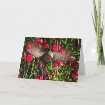 Carte de voeux Joyful Hummingbird