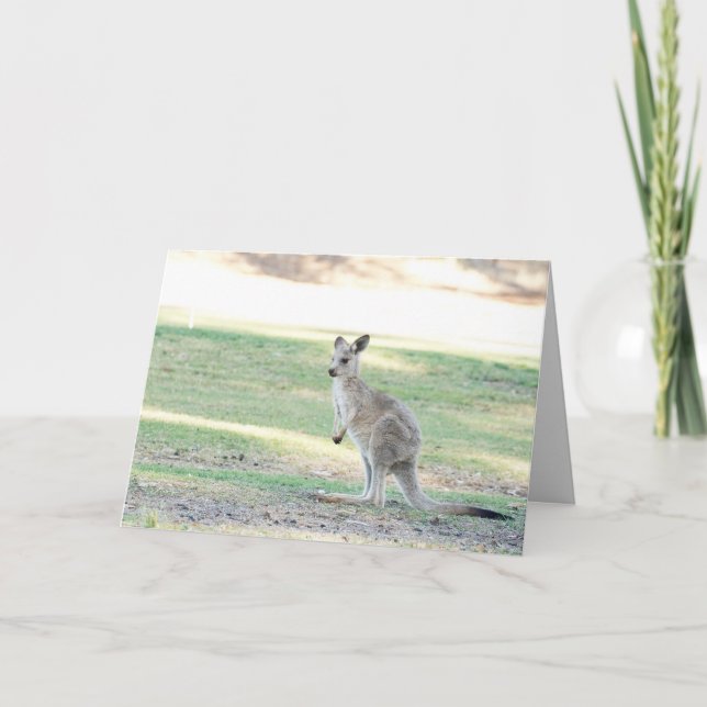 Carte de voeux Kangaroo (Devant)