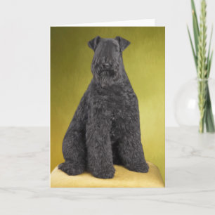 Carte de voeux Kerry Blue Terrier