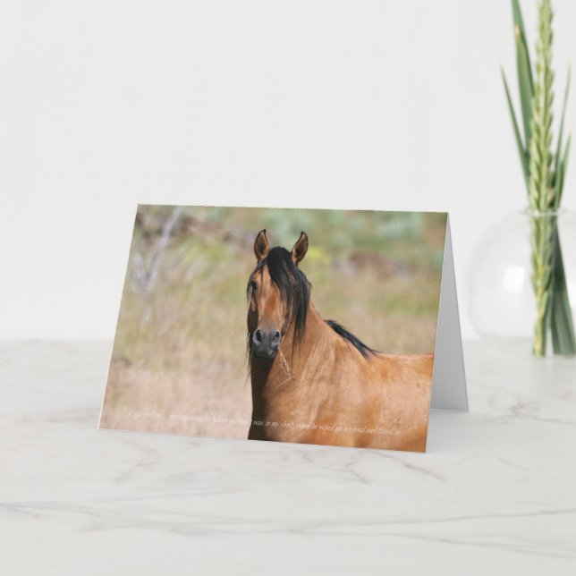Carte de voeux Kiger Stallion (Devant)