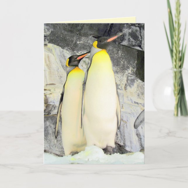 Carte de voeux King Penguins (Devant)