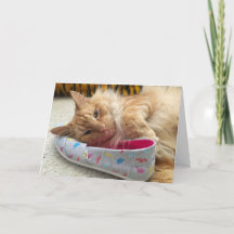 carte de voeux kitten #3