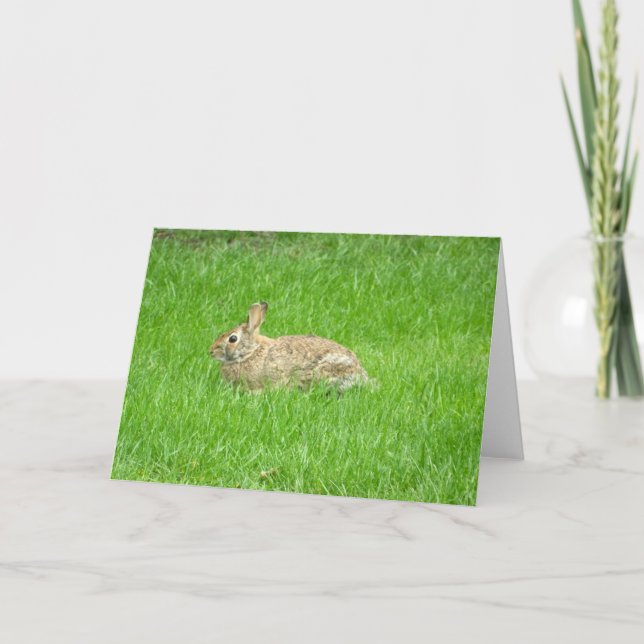 Carte de voeux Lapin (Herbe Verte) (Devant)