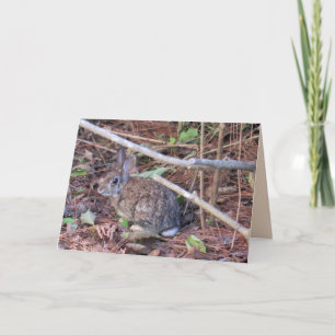 Carte de voeux lapin lapin