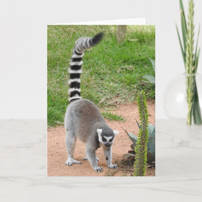 Carte de voeux Lemur (Devant)