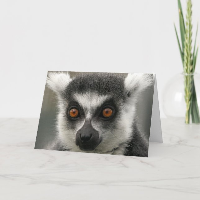 Carte de voeux Lemur Face (Devant)