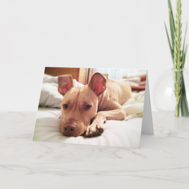 Carte de voeux Leon pliée (Devant)