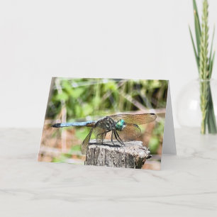 Carte de vœux Libellule bleue 