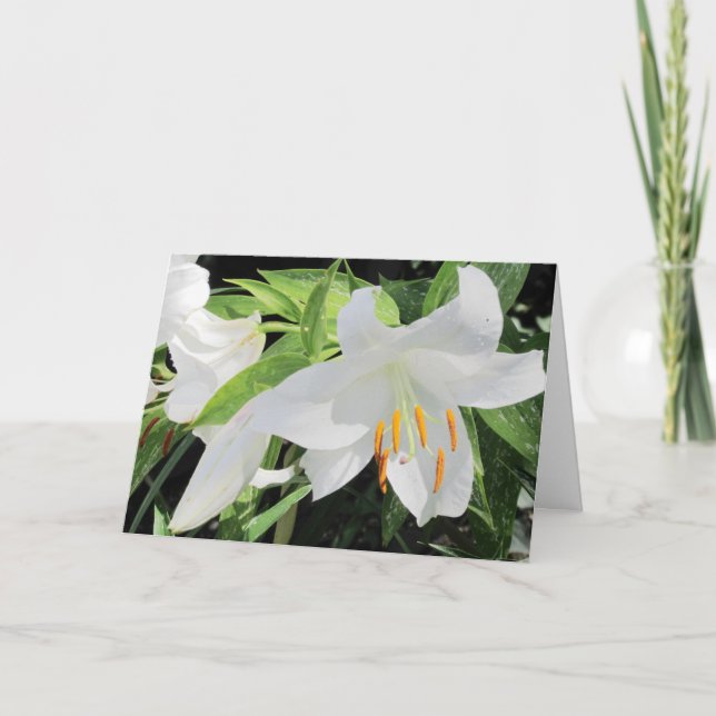 Carte de voeux Lilies (Devant)