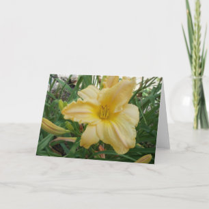 Carte de voeux Lily Stella d'oro