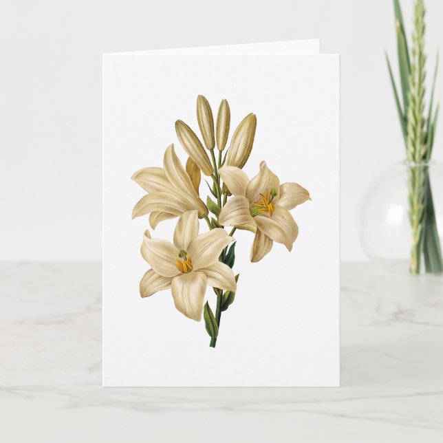 Carte de voeux Lily Sympathy (Devant)