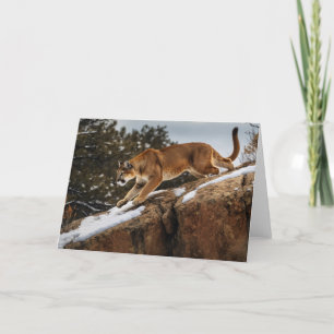 Carte de voeux Lion Mountain