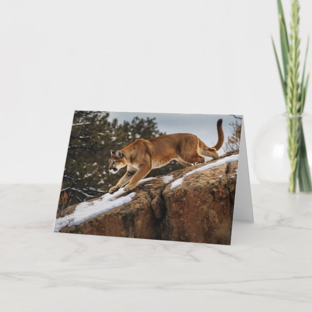 Carte de voeux Lion Mountain (Devant)