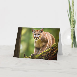 Carte de voeux Lion Mountain