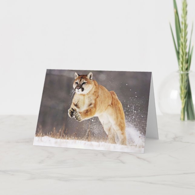 Carte de voeux Lion Mountain (Devant)