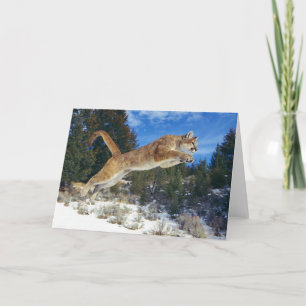 Carte de voeux Lion Mountain