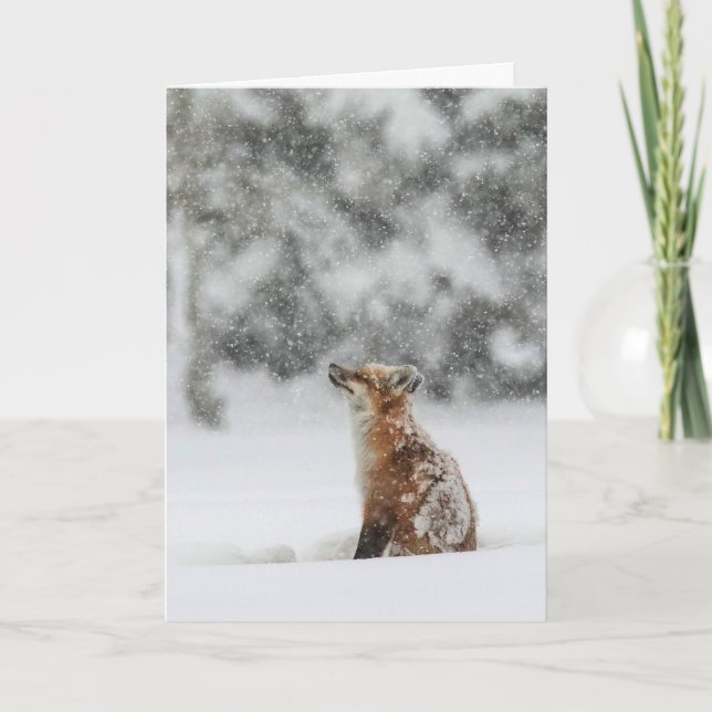 Carte de vœux "Magie de l'hiver" (Devant)