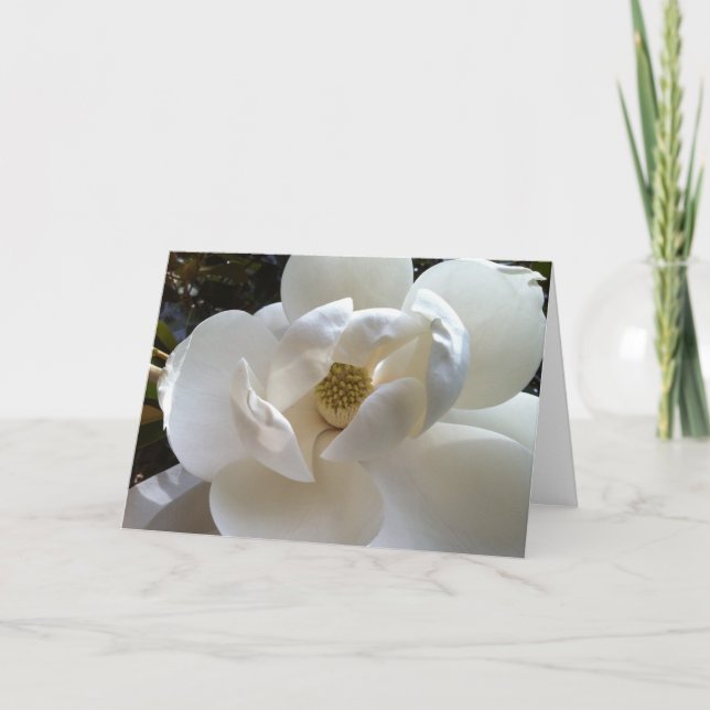Carte de voeux Magnolia (Devant)