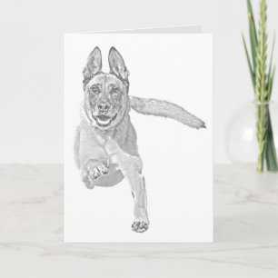 Carte de voeux Malinois au crayon personnalisé