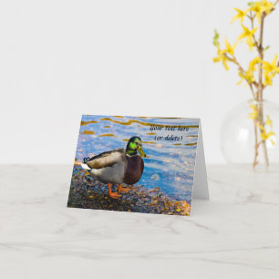 Carte de voeux Mallard Duck