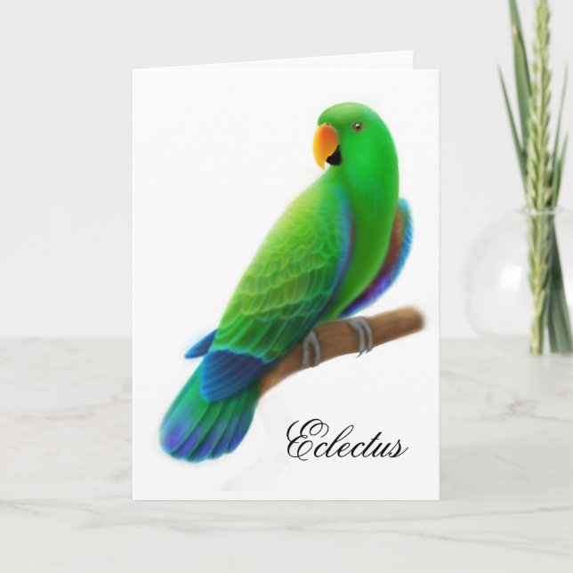 Carte de voeux masculine de perroquet d'Eclectus (Devant)