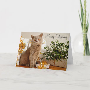 Carte de voeux Meowy Joyeux Noël Chat