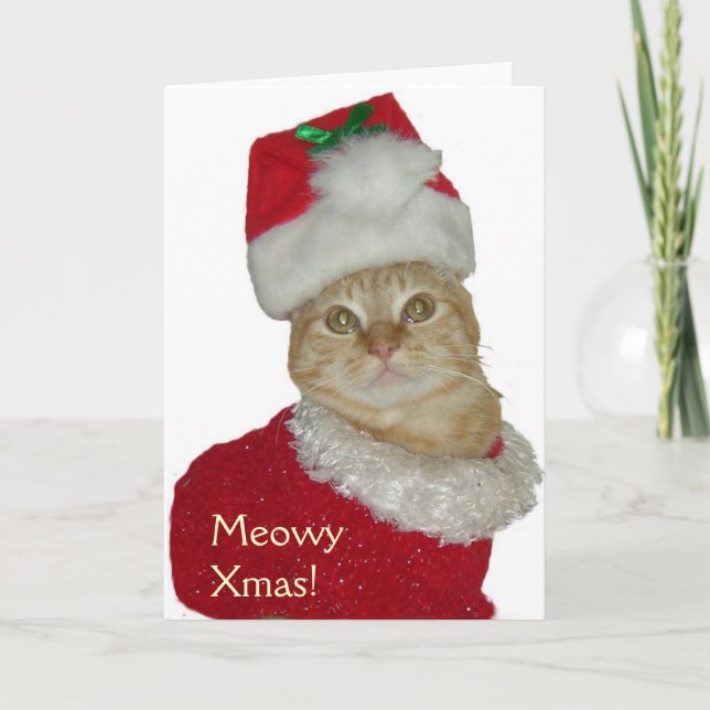 Carte de voeux "Meowy Xmas" (Devant)