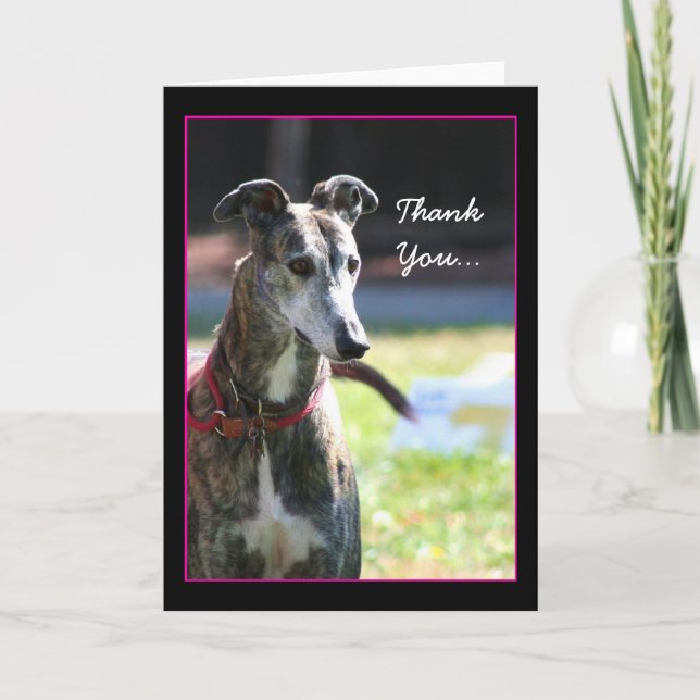 Carte de voeux Merci Greyhound (Devant)