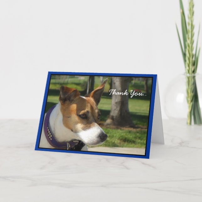 Carte de voeux Merci Jack Russell Terrier (Devant)