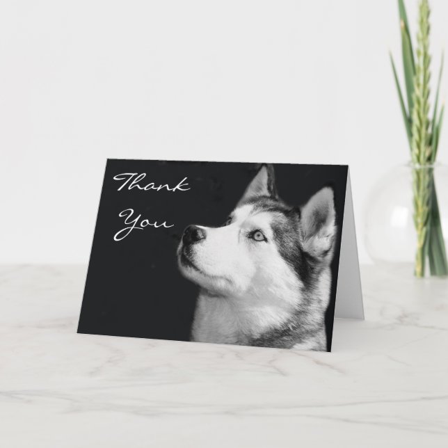Carte de voeux Merci Siberian Husky (Devant)