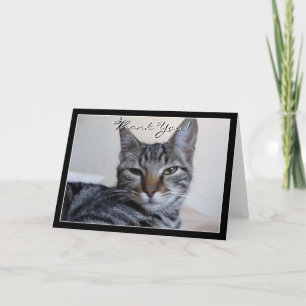 Carte de voeux Merci Tabby Cat