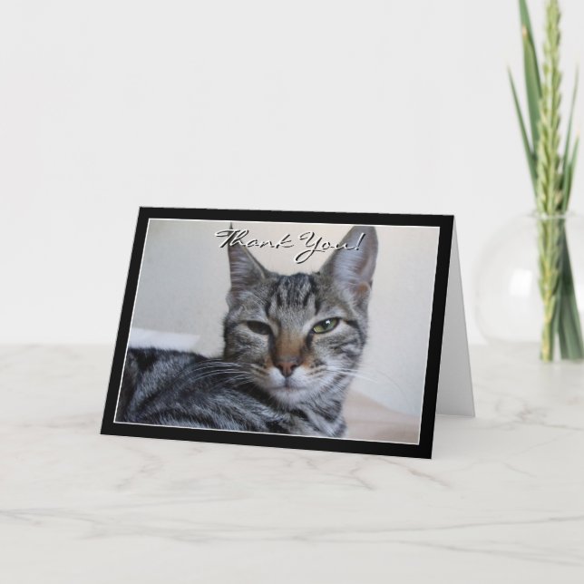 Carte de voeux Merci Tabby Cat (Devant)