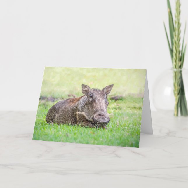 Carte de voeux merveilleuse de Warthog (Devant)