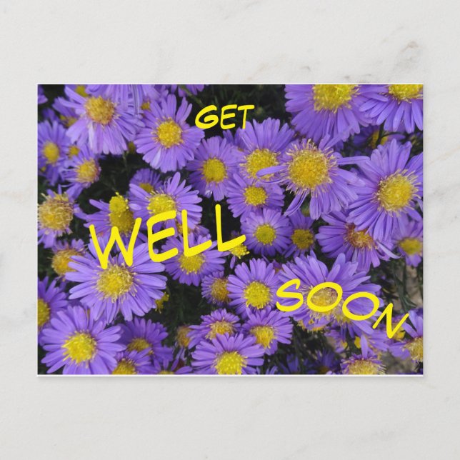 Carte de vœux Michaelmas Daisy. Bon rétablissement (Devant)