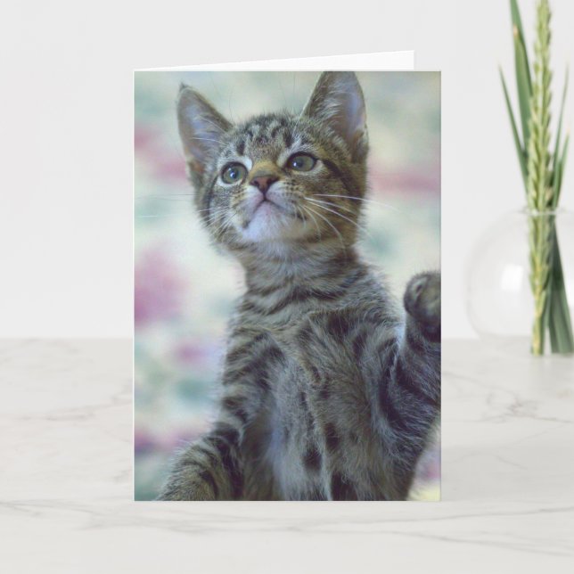 Carte de voeux mignonne de chaton (Devant)