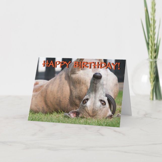 Carte de voeux mignonne drôle de lévrier (Devant)