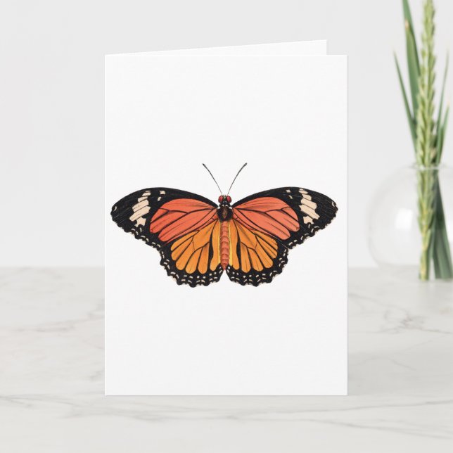 Carte de voeux Monarch Butterfly (Devant)