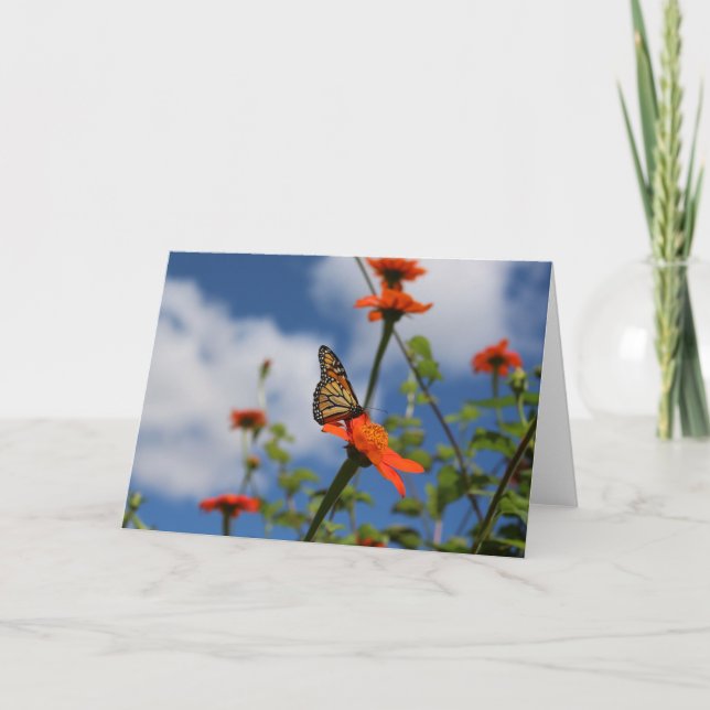 Carte de voeux Monarch papillon (Devant)