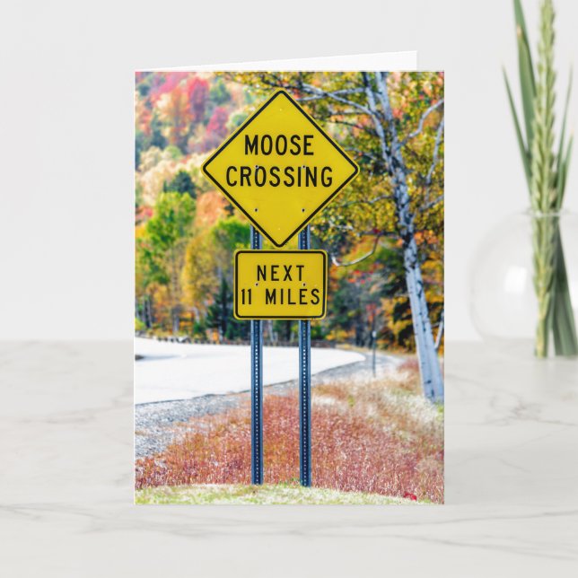 Carte de voeux Moose Crossing (Devant)