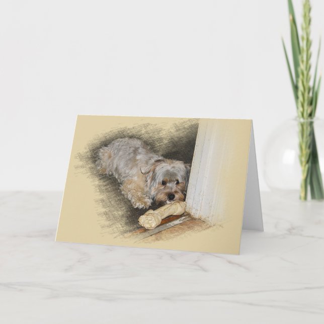 Carte de voeux Morkie (Devant)
