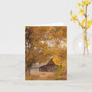 Carte de voeux Mormon Row