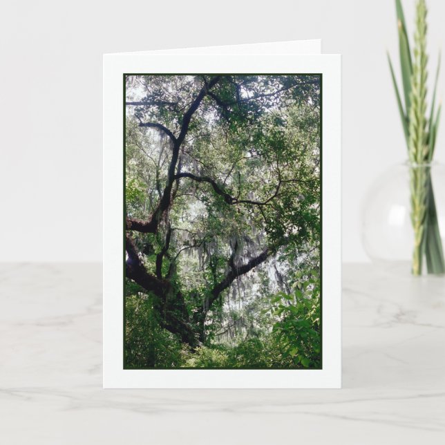 Carte de voeux Moss Canopy (Devant)